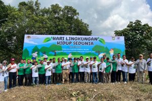 kegiatan DLH dalam memperingati Hari Lingkungan Hidup sedunia