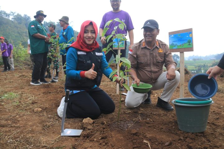 penanaman pohon bersama DLH